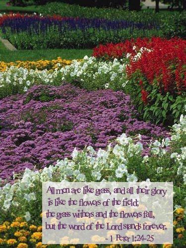 heartlight verse of the day|Today's Verse Archives .